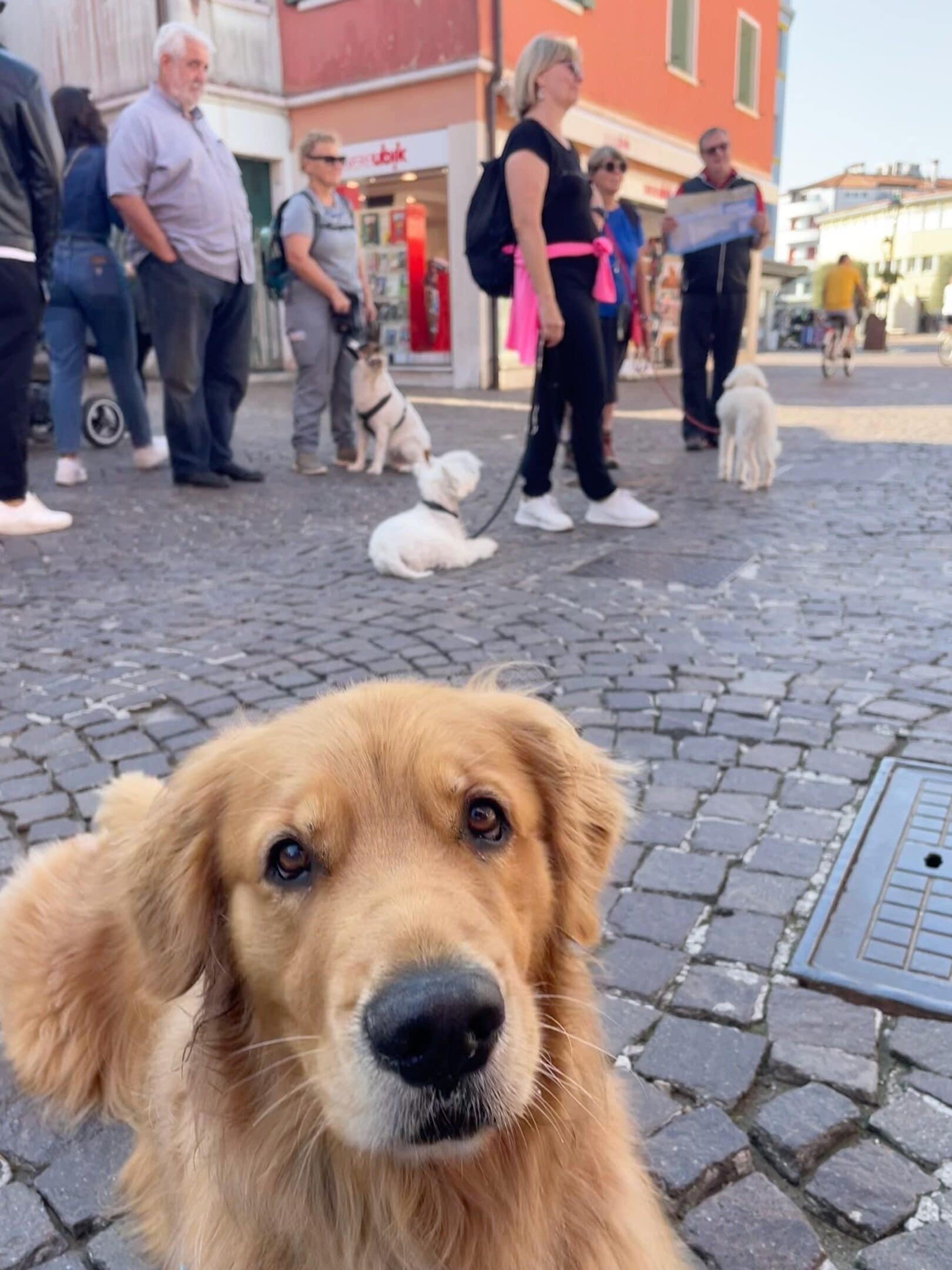 Stadtspaziergang in Caorle.