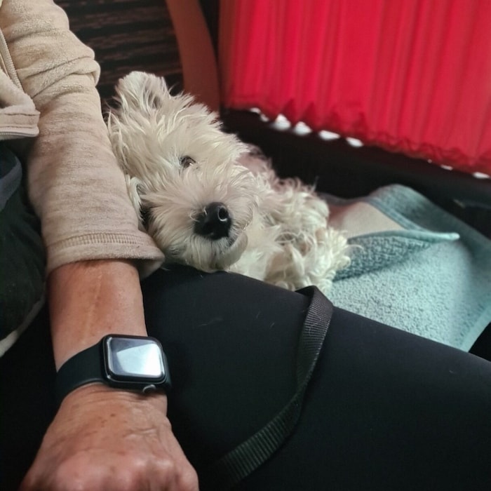 Gemeinsam entspannt unterwegs.