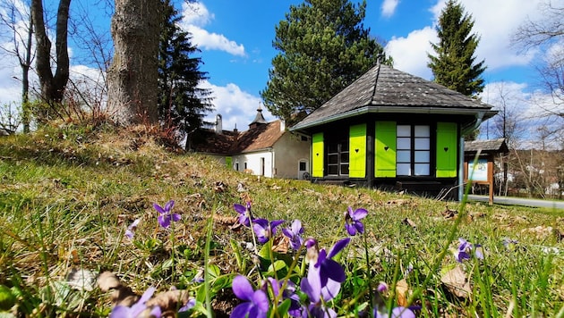 Frühlingsstimmung im Museumsdorf Krumbach