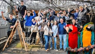 Der zweite Jahrgang der Wein- und Obstbauschule Klosterneuburg schnitt die verwilderte Weinlaube ...