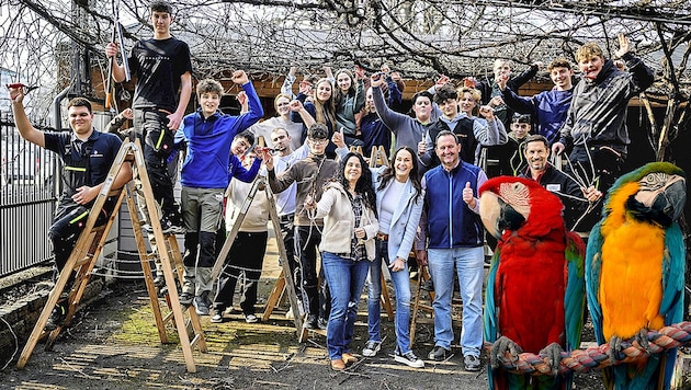 Der zweite Jahrgang der Wein- und Obstbauschule Klosterneuburg schnitt die verwilderte Weinlaube ...