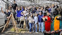 Der zweite Jahrgang der Wein- und Obstbauschule Klosterneuburg schnitt die verwilderte Weinlaube ...