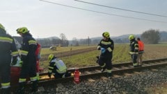 Der Pkw-Lenker wurde schwer verletzt.