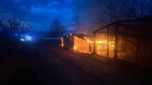 Die Zuchtvögel im Gehege konnten zum Glück gerettet werden.