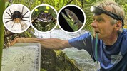 Christian Komposch hat gemeinsam mit vielen anderen Experten die Talbachklamm untersucht. Ihr ...