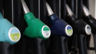 Die Preissprünge an der Zapfsäule machen die Politik nervös.