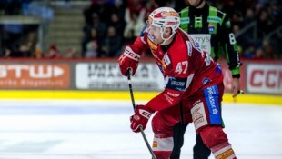 KAC-Ass Jordan Murray 