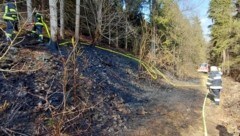 1500 Quadratmeter waren vom Waldbrand betroffen. 