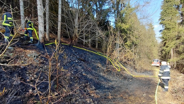 1500 Quadratmeter waren vom Waldbrand betroffen.