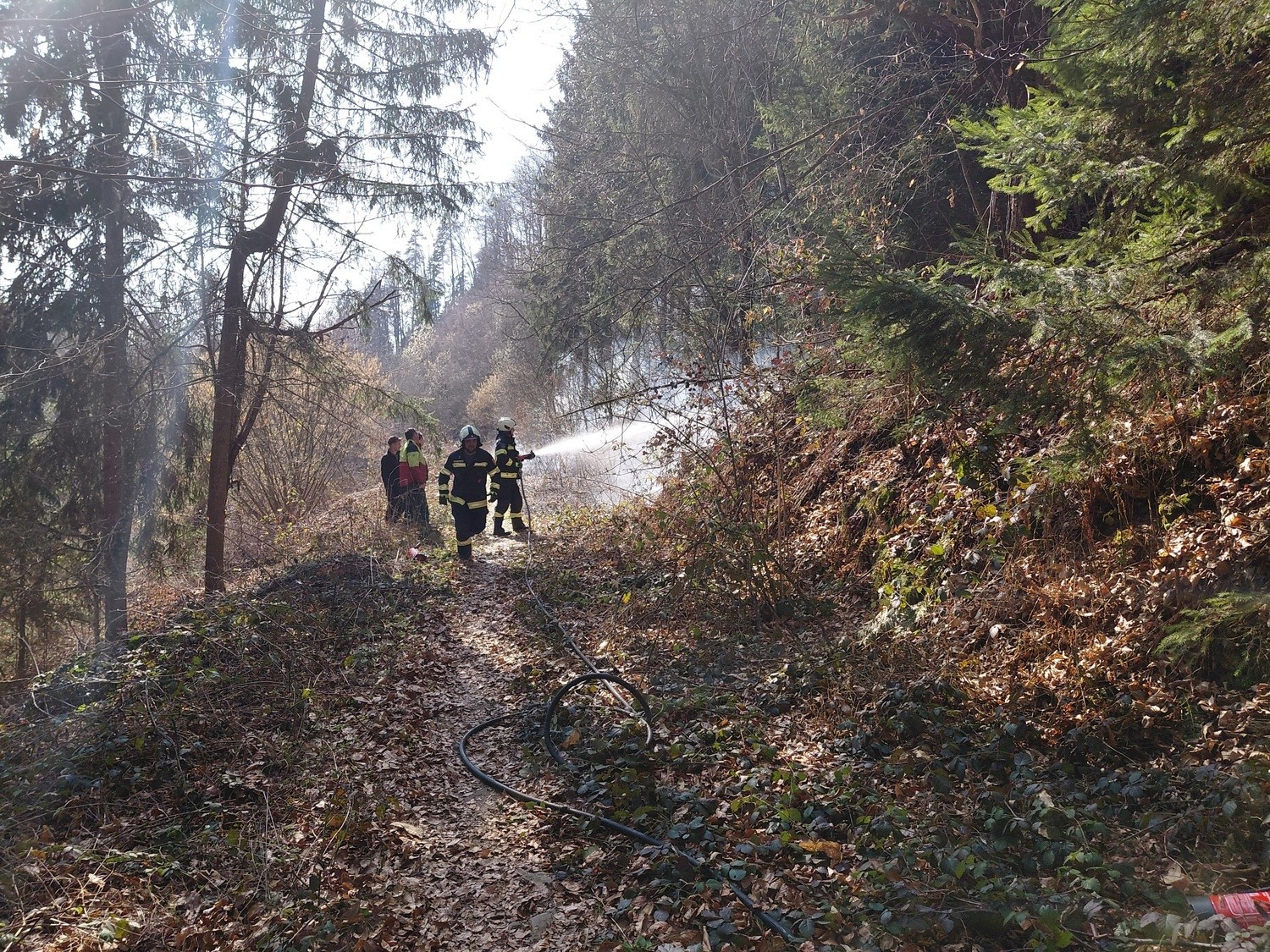 Die Wehren konnten den Waldbrand rasch unter Kontrolle bringen.