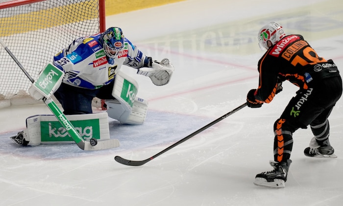 Chris Collins traf gegen seinen Ex-Klub zum Ausgleich.