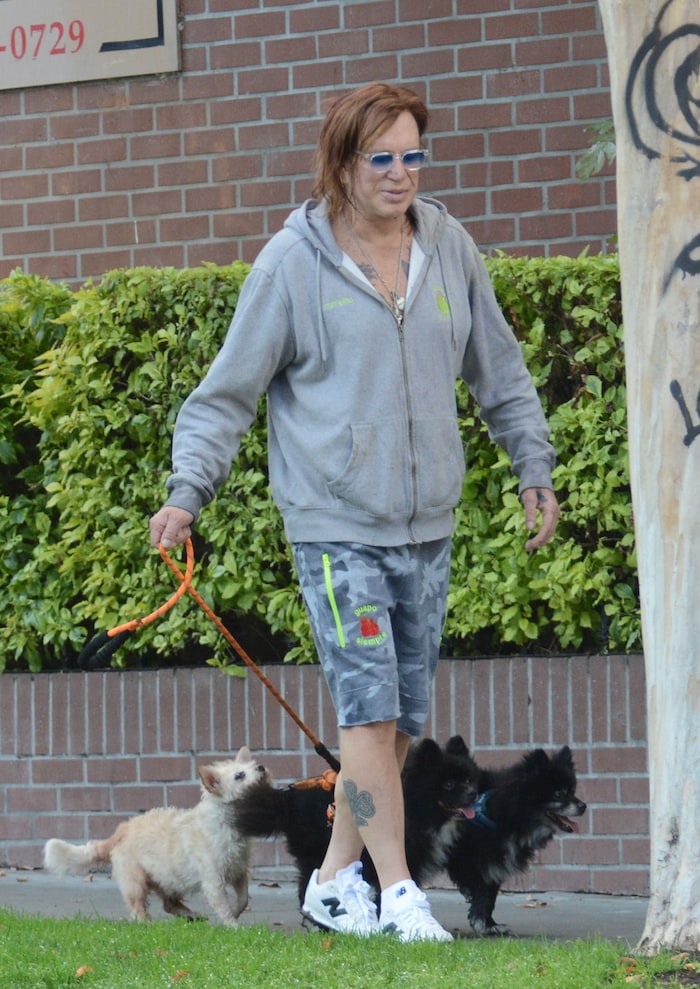 Mickey Rourke soll seit Jänner im Hotel wohnen – mit seinen drei Hunden.