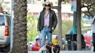 Mickey Rourke bei einer Gassi-Runde mit seinen Hunden Anfang Februar: Der Hollywoodstar muss nun ...