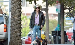 Mickey Rourke bei einer Gassi-Runde mit seinen Hunden Anfang Februar: Der Hollywoodstar muss nun ...