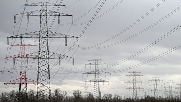 Die 110-kV-Freileitung darf, sofern kein Einspruch kommt, gebaut werden (Symbolbild).
