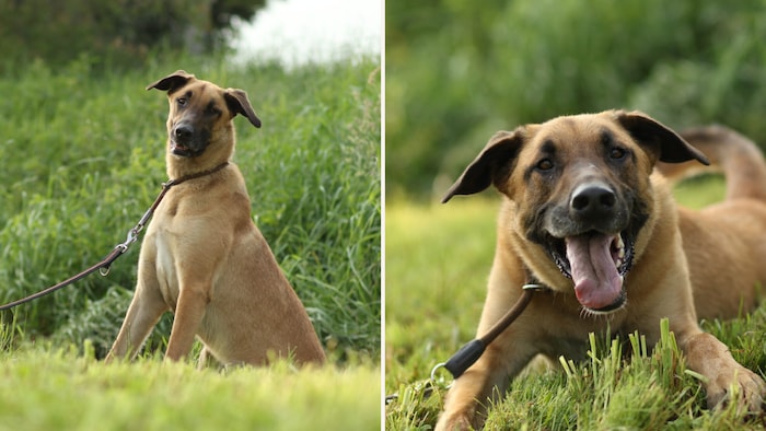 Ein ganz verspielter Kerl!