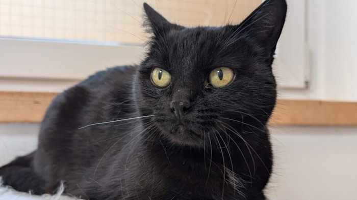 Sucht einen Sonnenplatz!