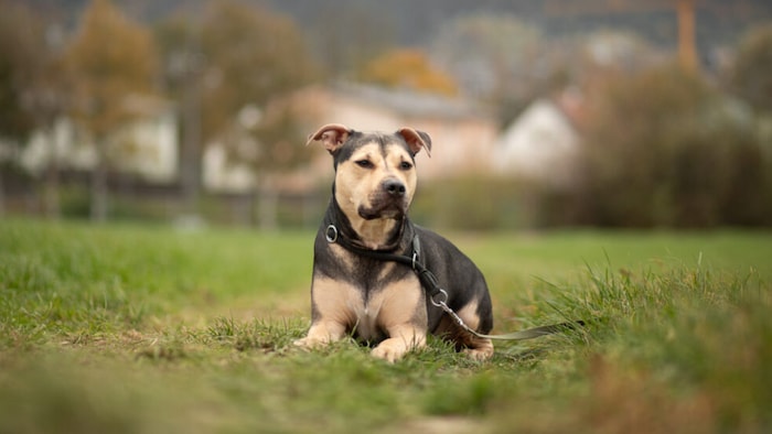 So ein süßer Anblick!