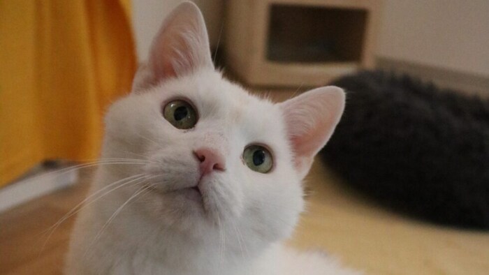 Was eine Schönheit!