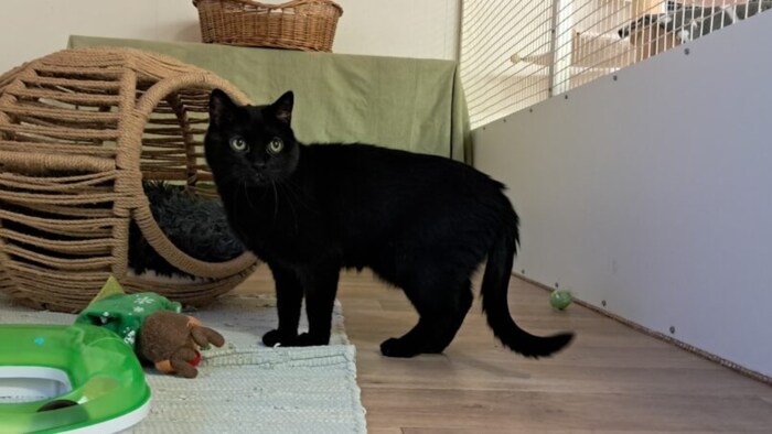 Bereit fürs neue Revier!