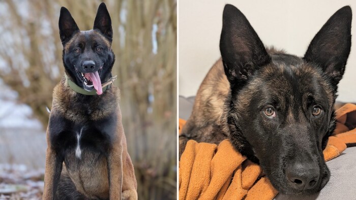 So ein sußes Gesicht!