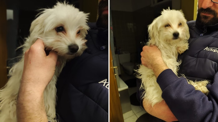 Möchte wieder zu ihren Herzensmenschen!