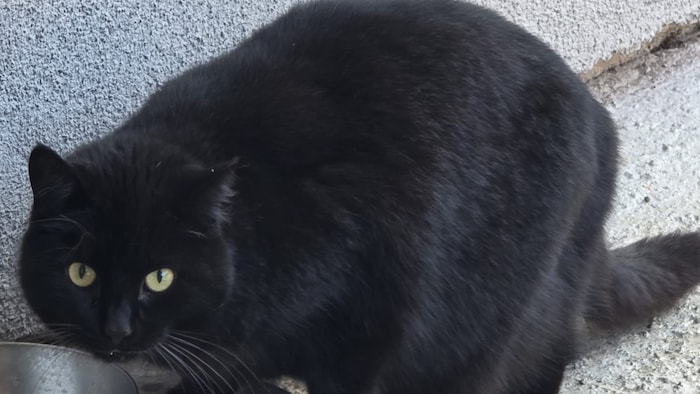 Ich möchte wieder nach Hause!