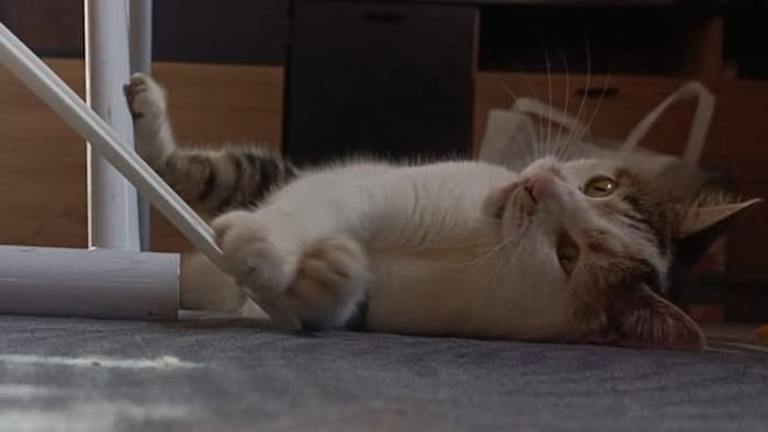 Wo steckst du bloß?