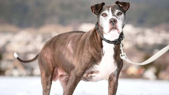 Eine richtige Kuscheltante!