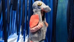 Kostüme, Experimente und noch viele weitere Mitmach-Stationen machen die Donau zum Abenteuer für ...