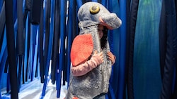 Kostüme, Experimente und noch viele weitere Mitmach-Stationen machen die Donau zum Abenteuer für ...