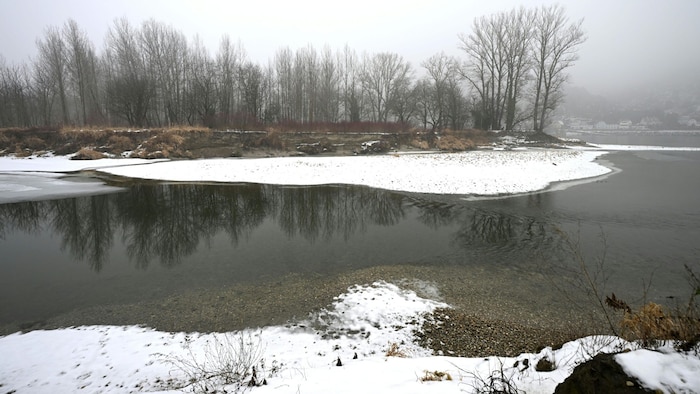 Der Fundort der Leiche in Rossatz, ein Seitenarm der Donau. Pilnaceks Uhr zeichnete auf, wie ...