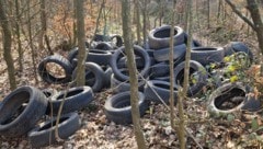 Das Forstholz in St. Florian wurde mit LKW- und Autoreifen zugemüllt.