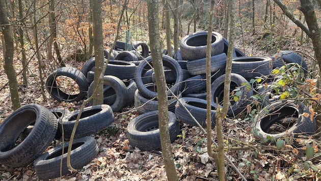 Das Forstholz in St. Florian wurde mit LKW- und Autoreifen zugemüllt.