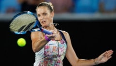 Karolina Pliskova ist mit über 26 Millionen Dollar Topverdienerin