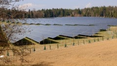 In Dobl wurde letzten Herbst in einer Vorrangzone ein 20 Hektar großer Photovoltaik-Park in ...