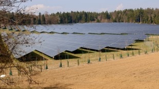 In Dobl wurde letzten Herbst in einer Vorrangzone ein 20 Hektar großer Photovoltaik-Park in ...