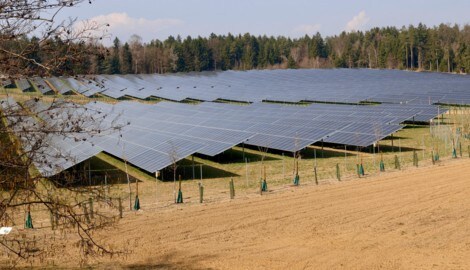 In Dobl wurde letzten Herbst in einer Vorrangzone ein 20 Hektar großer Photovoltaik-Park in ...