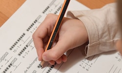 Ein 13-jähriger Oberösterreicher (Symbolbild) möchte nach Jahren des Homeschoolings nun ...