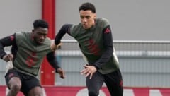 Alphonso Davies (l.) und Jamal Musiala haben sich erneut verletzt.