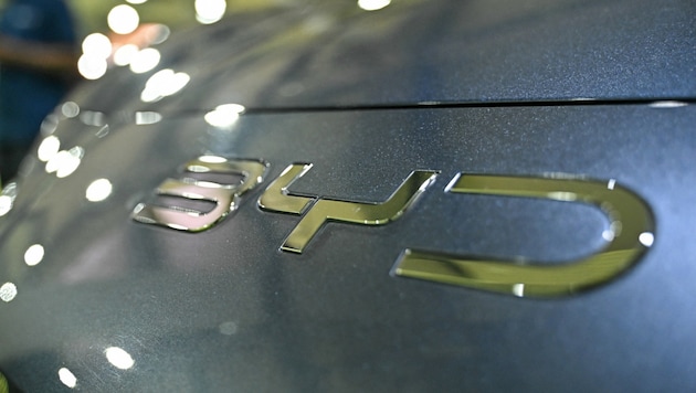 Der Autobauer ist im eigenen Land stark unter Druck.