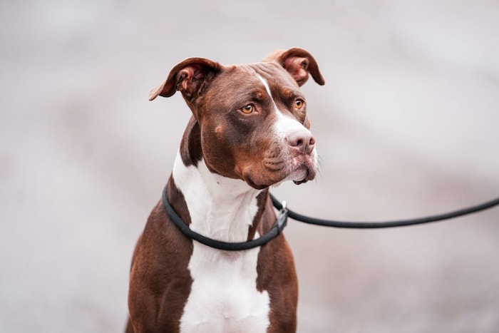 So ein schöner Anblick!