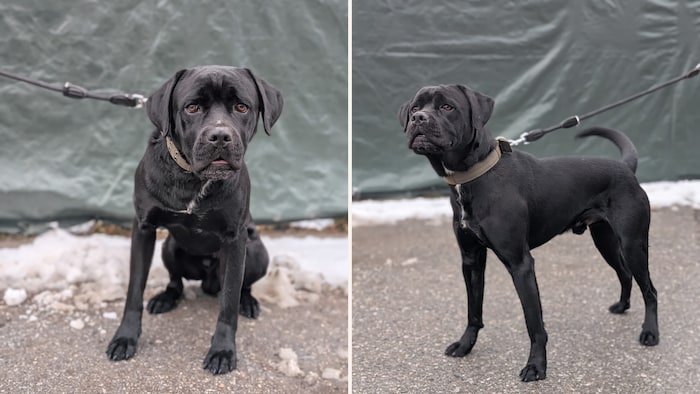 Wer kann diesem Blick schon widerstehen?