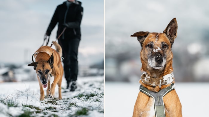 Wer schenkt mir sein Herz?