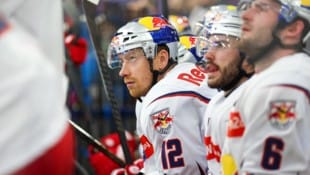 Die Eisbullen bleiben trotz Rückstand in der Serie ruhig.