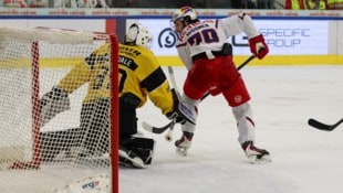 Die Eisbullen und Nissner (re.) stehen mit dem Rücken zur Wand