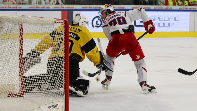 Die Eisbullen und Nissner (re.) stehen mit dem Rücken zur Wand