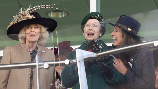 Kates Mama sorgt für die royale Überraschung des Jahres: Beim Cheltenham Festival strahlte ...