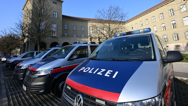 In Zusammenarbeit mit den deutschen Behörden wurde der Fall geklärt (Symbolbild)