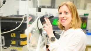 MedUni Graz Madreiter-Sokolowski im Labor: Mithilfe von Fadenwürmern untersucht die Altersforscherin, wie ...